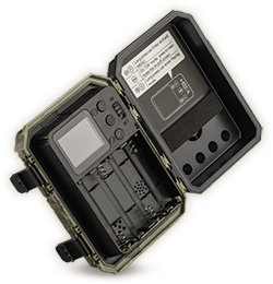 Wachman Mini Trail Camera aizmugurējais skats, rādot displeju un vadības pogas